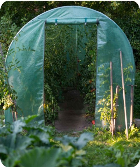 Tunel ogrodowy 2x3,5 m (7m2) Plonos Tunel ogrodowy 2x3,5 m (7m2) Plonos